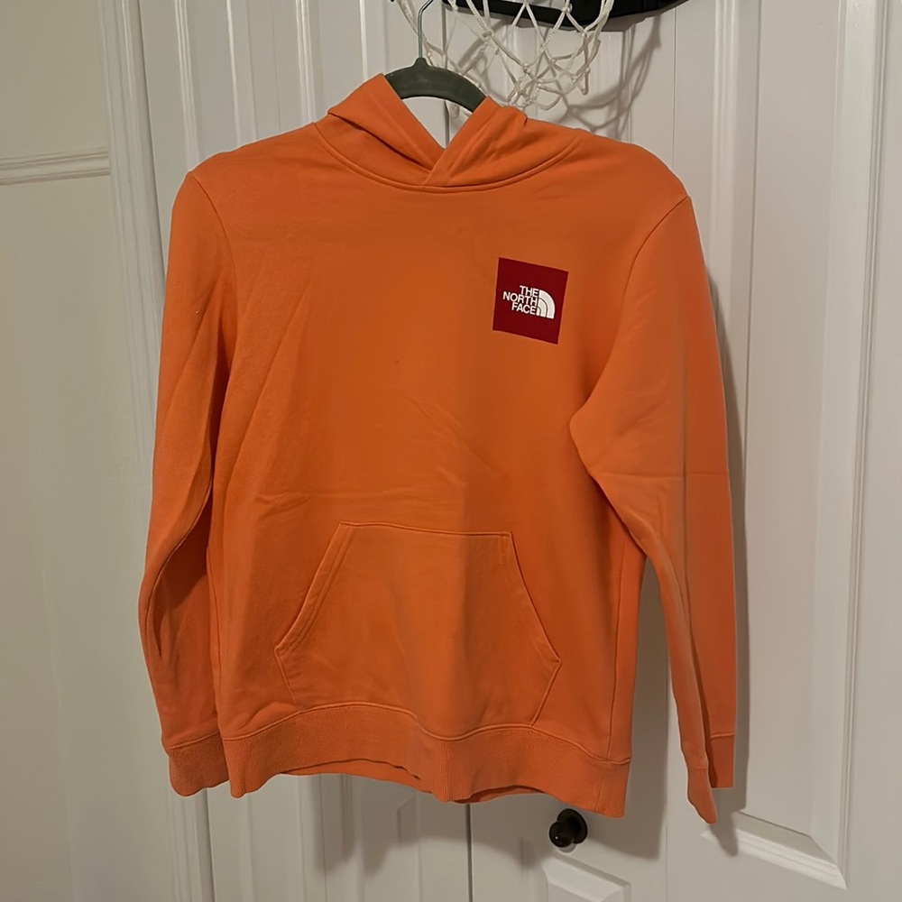 The north face hoodie